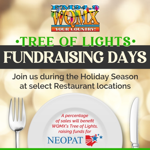 Tree of Lights Fundraising Days 2024