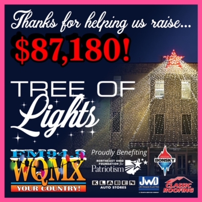 Tree of Lights- THANK YOU!
