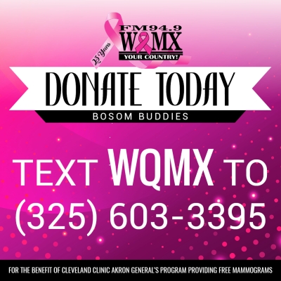 You Can Still Donate to Bosom Buddies!