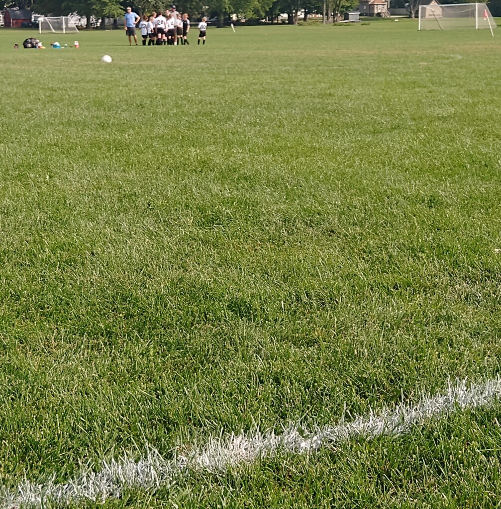 51716aebf082c53c66aea3518401ffdd