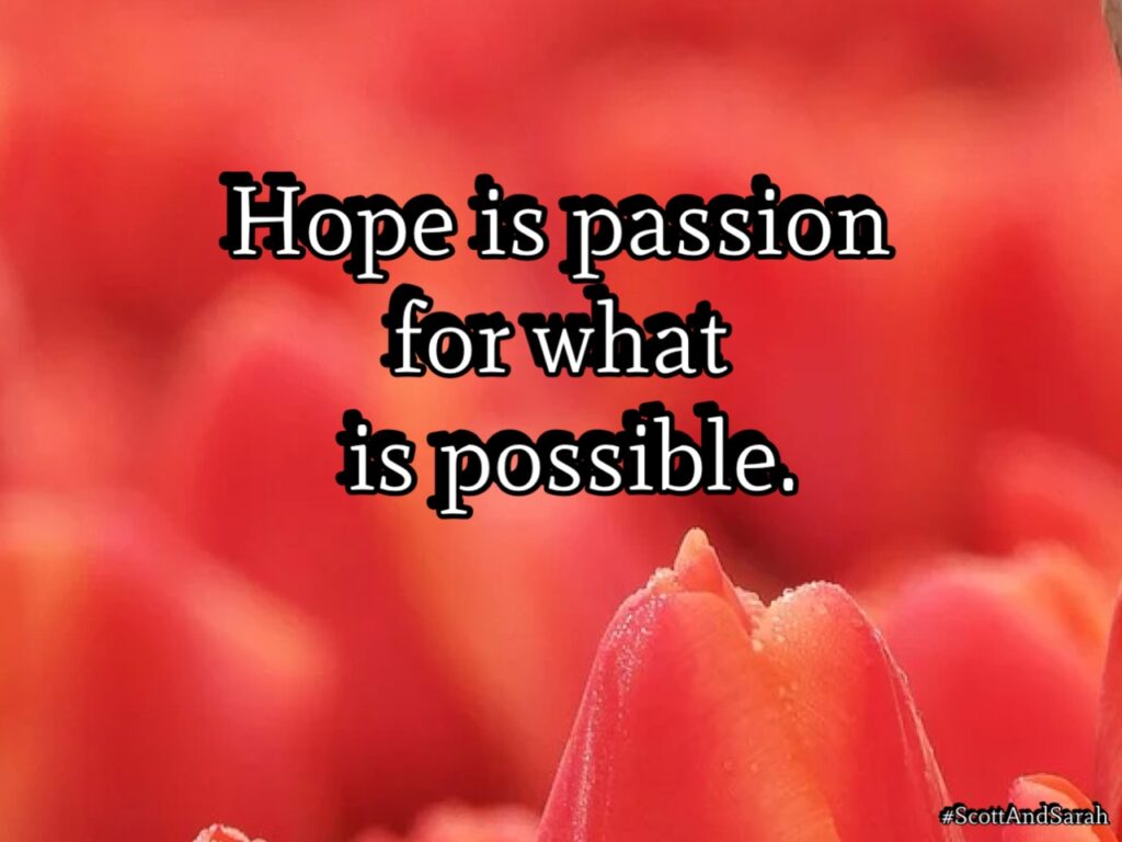 5b0e4fba53984a533db3827cc72a10ae