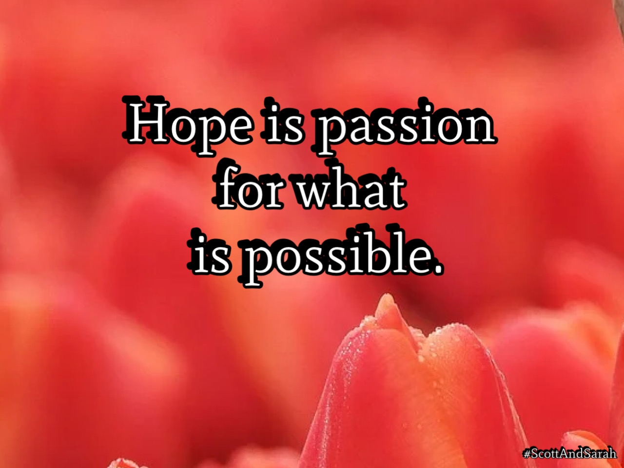 5b0e4fba53984a533db3827cc72a10ae