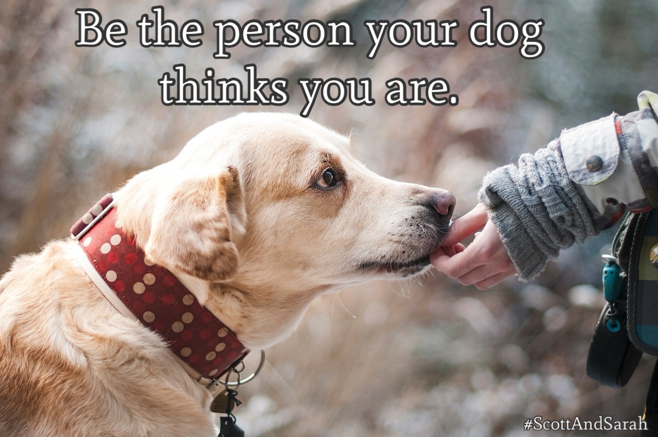 6907d96857f5cce22ca74d49b4e0cbd8