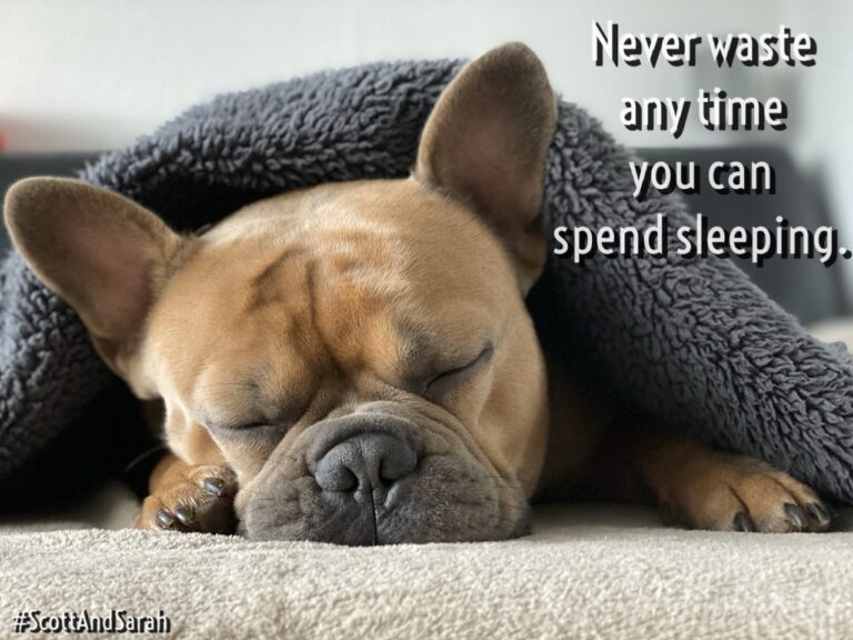 766f35bafa258b26803326724d6803d7