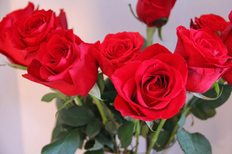 E8409b17de6a51ae7f377f387346faa5