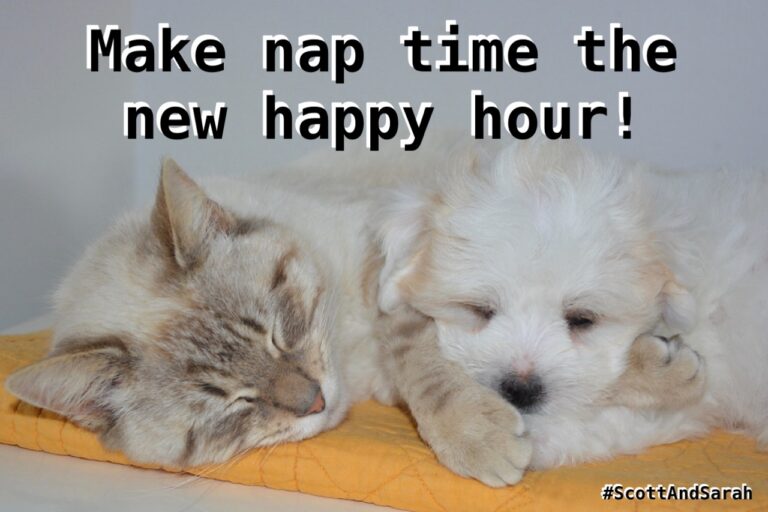 8a241ab318da7eb40c4a384a9083de3a