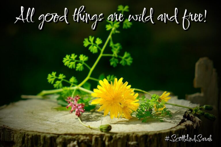 95c9d2d9c6ff796e4d6cf202c08888c9