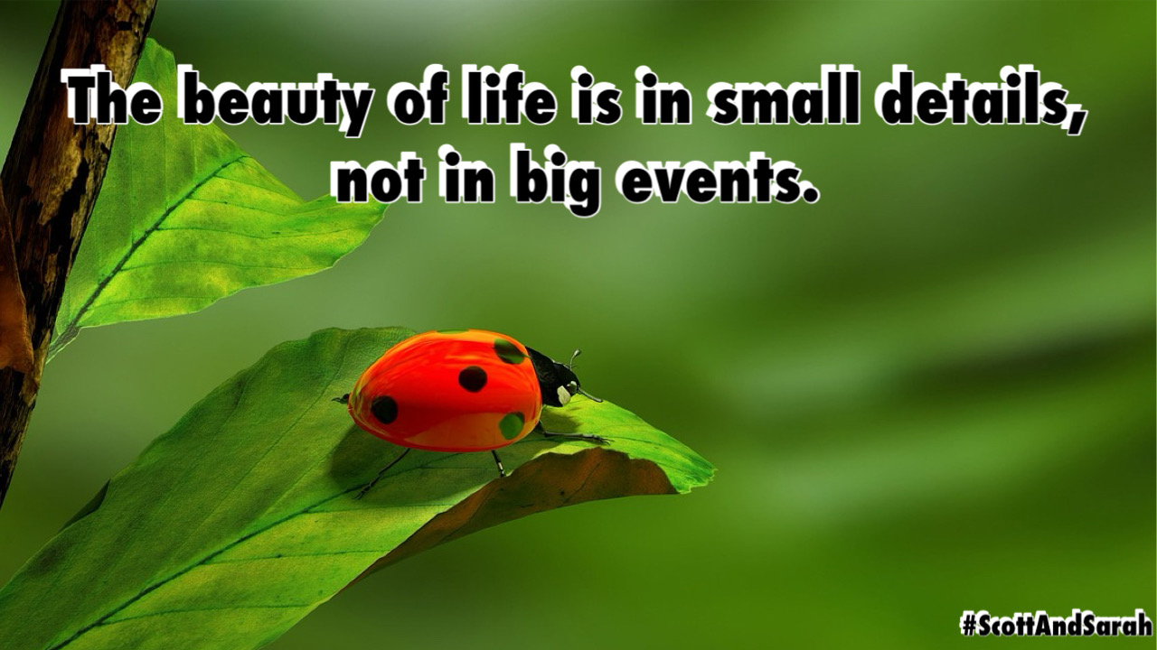 Created by photogrid