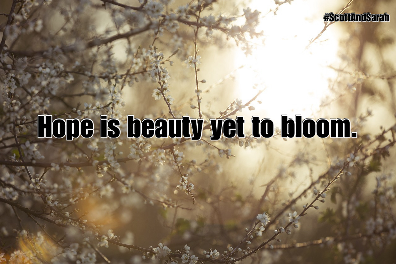 Created by photogrid