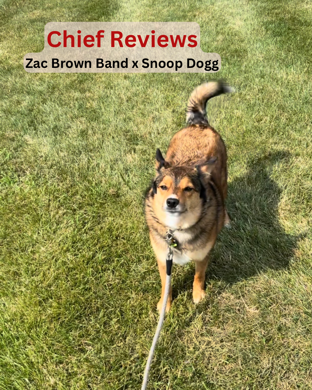 Chief reviews zac brown band x snoop dogg