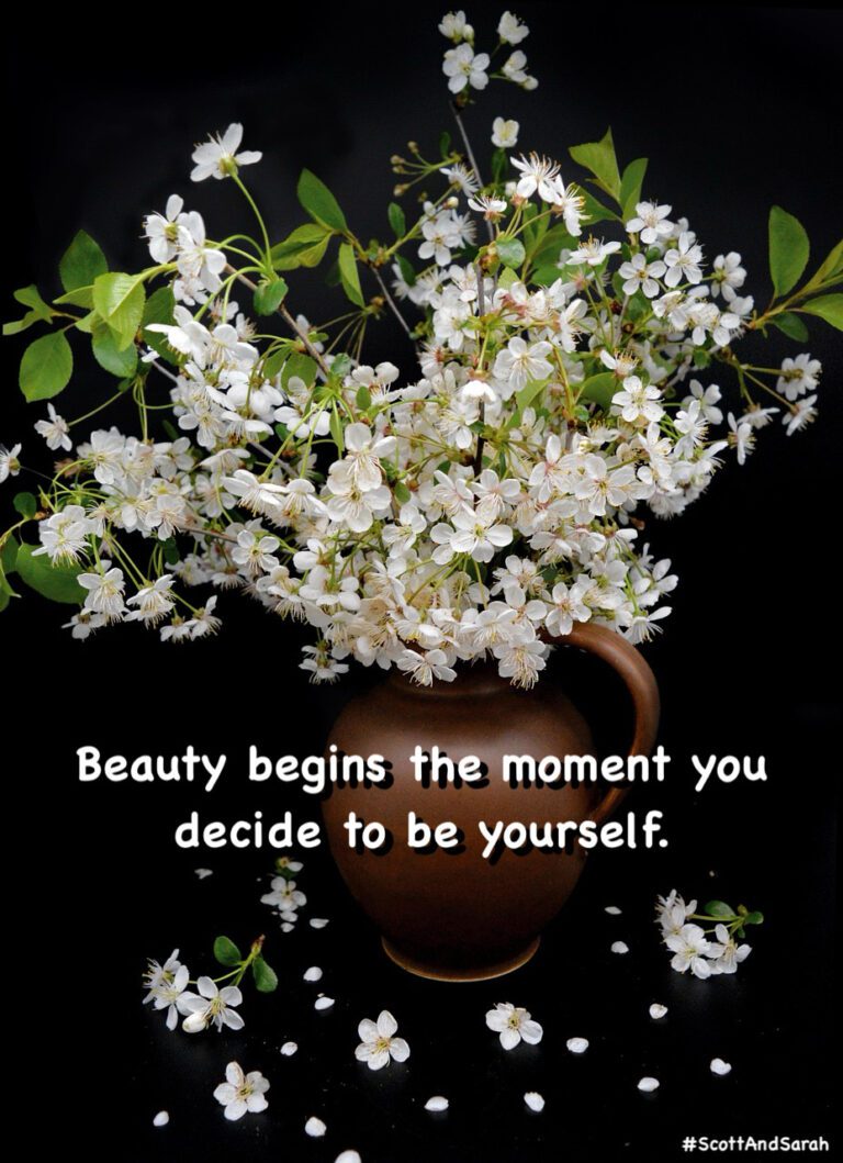 Created by photogrid