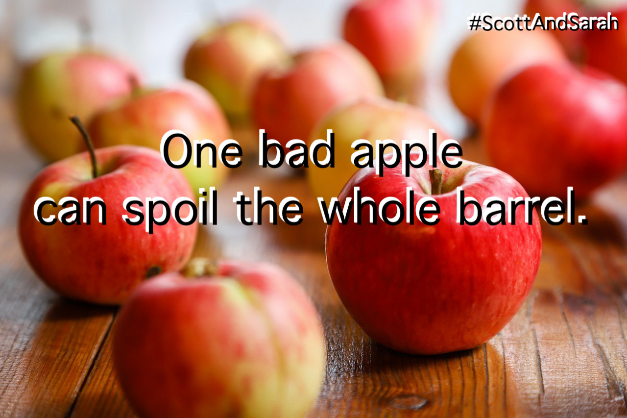 Created by photogrid