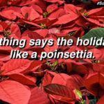 Created by photogrid