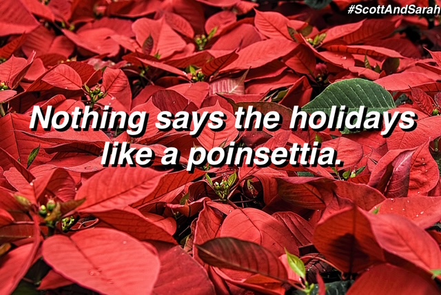 Created by photogrid