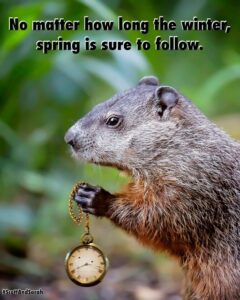 Created by photogrid