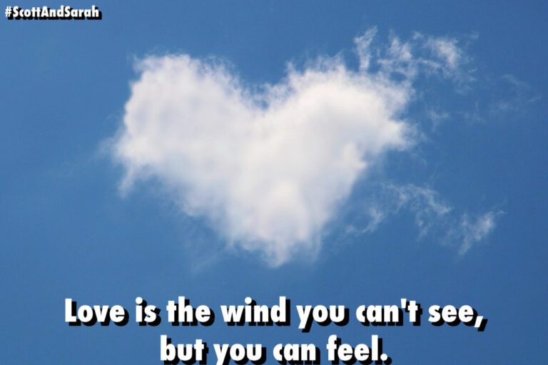 Created by photogrid